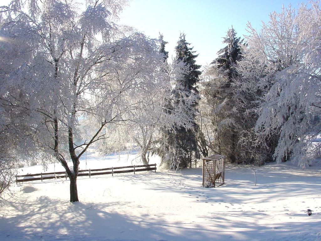 Fewo Holms Winterberg Rum bild
